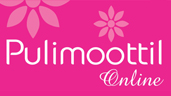 Pulimootil_Silks.jpg